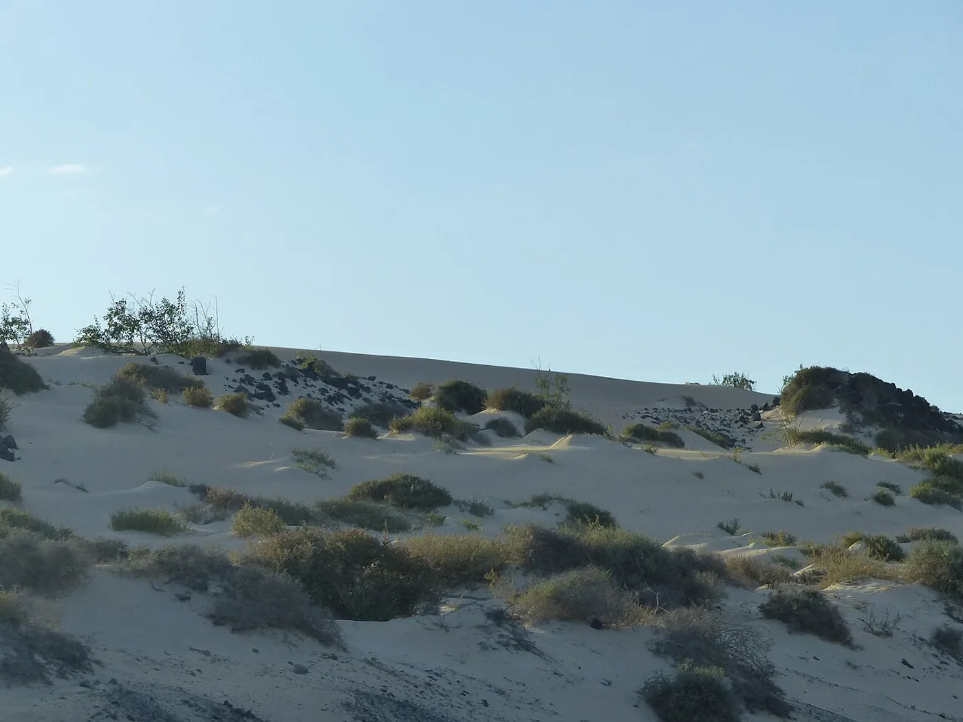 Dunas de Corralejo