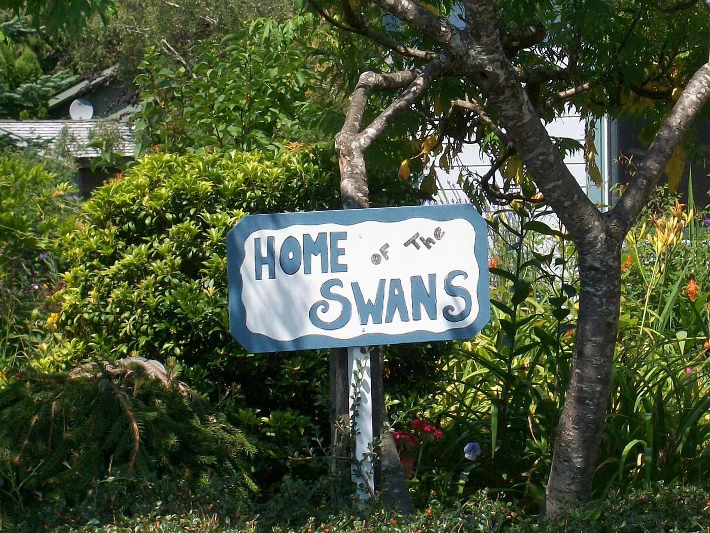 Forks, el pueblo de Crepúsculo, Forks