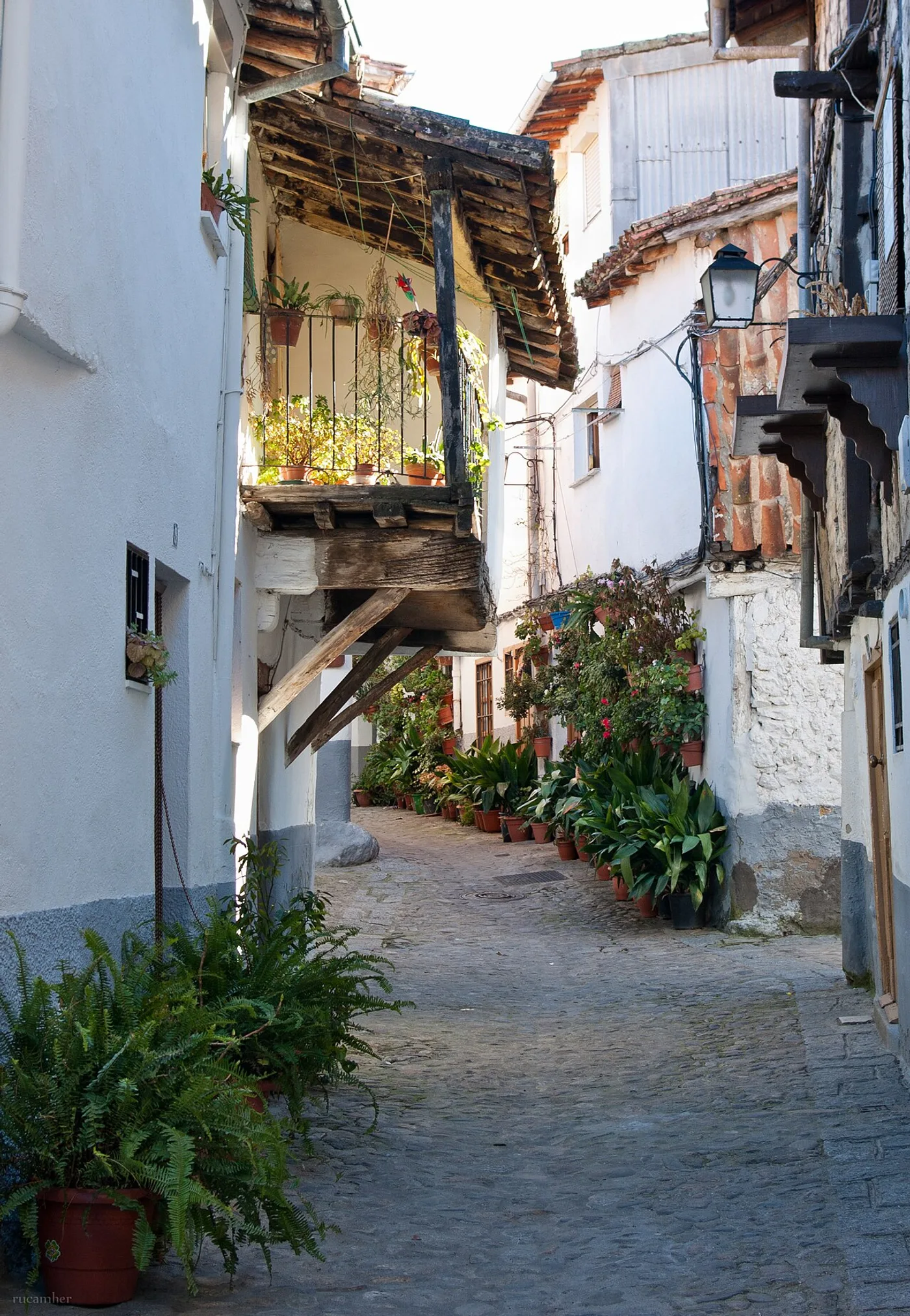 Judería de Hervás, Hervás