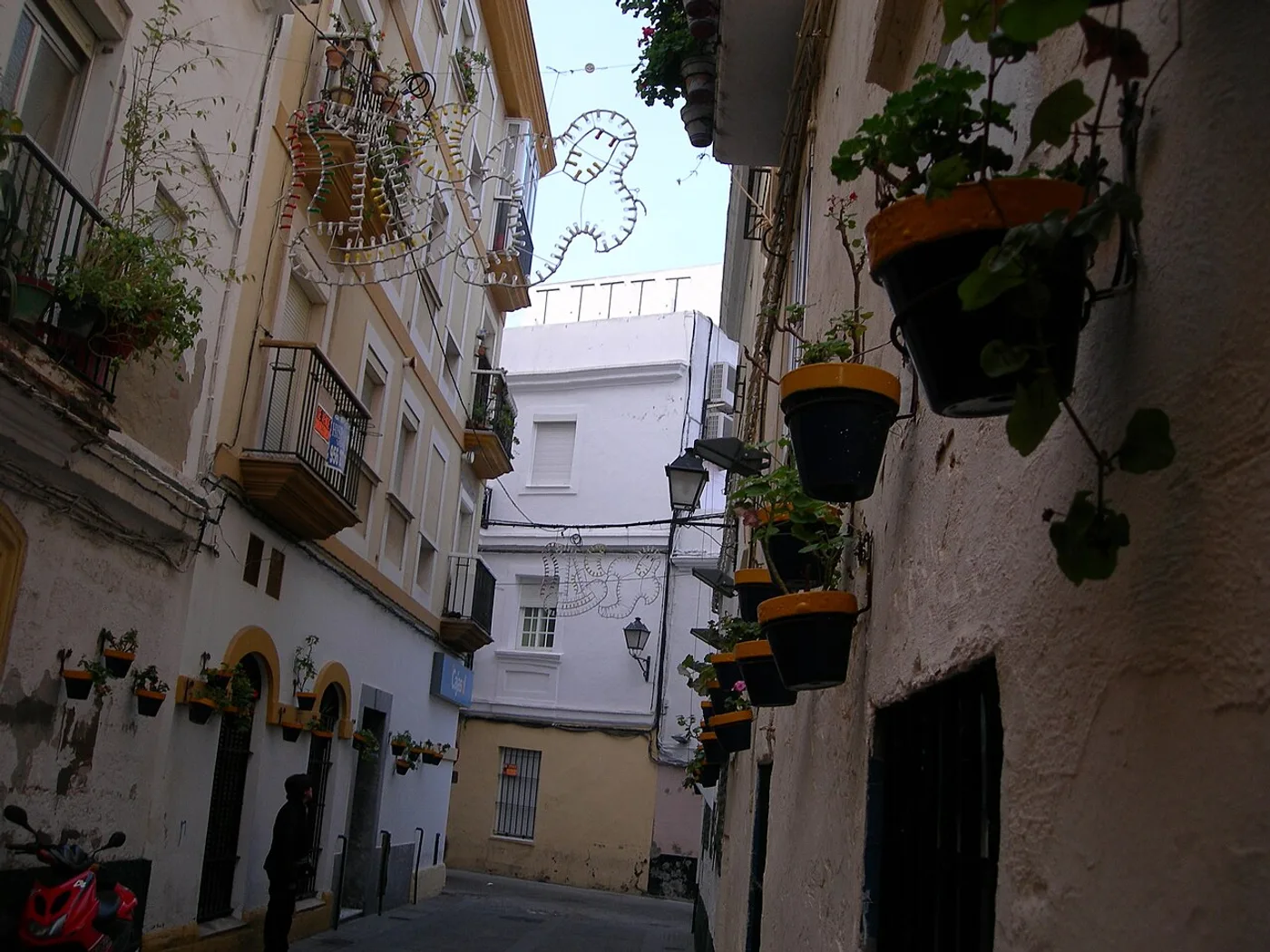 Pescaíto frito en La Viña, Cádiz