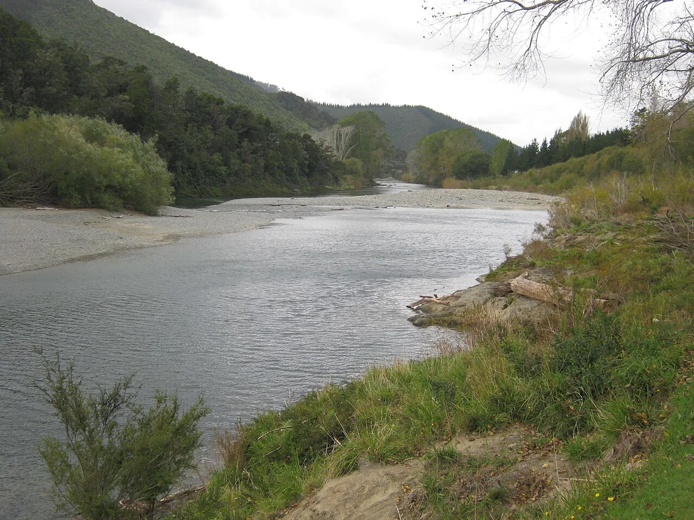 Río Pelorus
